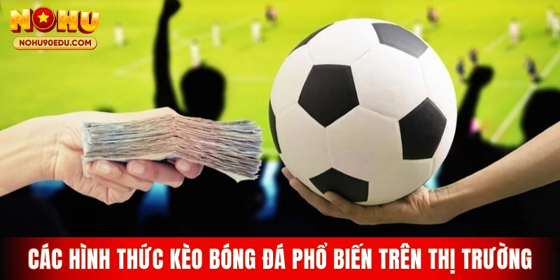 Hướng Dẫn Cách Đọc Kèo Bóng Đá Chi Tiết Từ Nohu90 2026 - BETQUBE89.SBS
