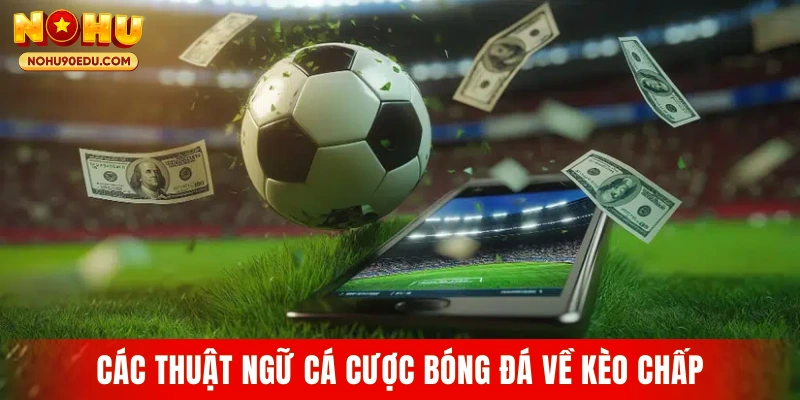 Thuật Ngữ Cá Độ Bóng Đá – Khái Niệm Người Chơi Cần Rõ - BETQUBE89.SBS
