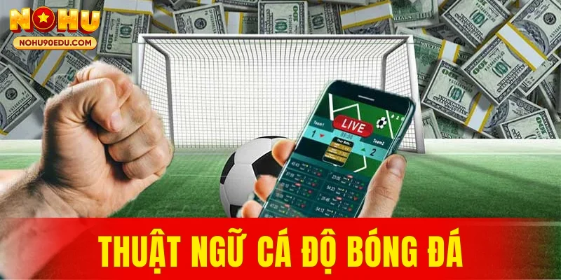 Thuật Ngữ Cá Độ Bóng Đá – Khái Niệm Người Chơi Cần Rõ - BETQUBE89.SBS